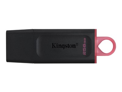 Kingston DataTraveler Exodia - 256 GB